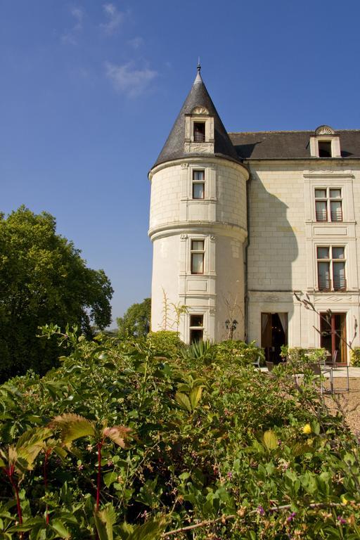Chateau De Chissay, Hotel De Charme Pres De Chenonceau Et Le Zoo De Beauval Eksteriør billede